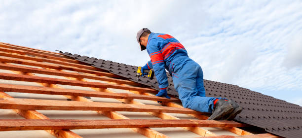 Best Roof Moss and Algae Removal  in Rock Falls, IL