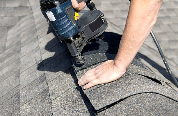 Best Asphalt Shingle Roofing  in Rock Falls, IL